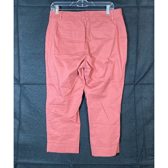 Ann Taylor Factory Womens Pants Blush Mid Rise Straight Leg Capri Stretch 8P - Picture 10 of 13